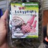 Rengginang Cumi (mentah) 250gr
